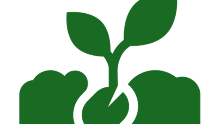 Projet les petits potagers